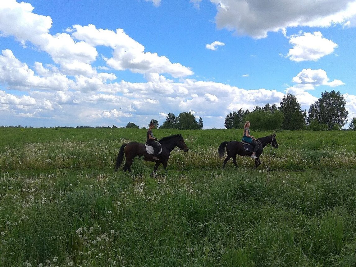 По-настоящему вместе — прогулка на лошадях сближает